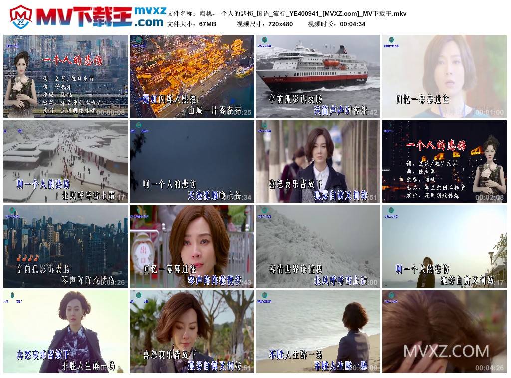 陶桃-一个人的悲伤_国语_流行_YE400941
